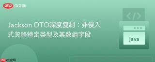 Jackson DTO深度复制：非侵入式忽略特定类型及其数组字段