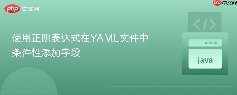 使用正则表达式在YAML文件中条件性添加字段