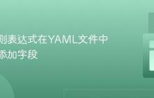 使用正则表达式在YAML文件中条件性添加字段