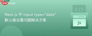 next.js 中 input type=