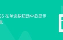使用 CSS 在单选按钮选中后显示文本信息