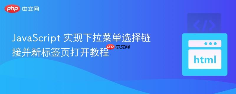 JavaScript 实现下拉菜单选择链接并新标签页打开教程