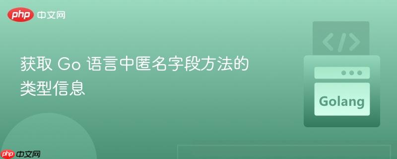 获取 Go 语言中匿名字段方法的类型信息