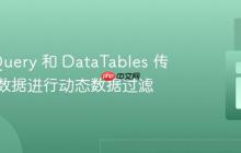 使用 jQuery 和 DataTables 传递表单数据进行动态数据过滤