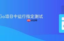如何在Go项目中运行指定测试用例
