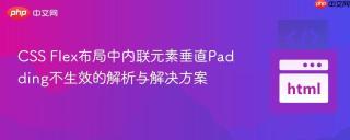 CSS Flex布局中内联元素垂直Padding不生效的解析与解决方案