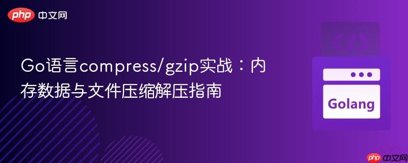 Go語言compress/gzip實戰(zhàn)：內(nèi)存數(shù)據(jù)與文件壓縮解壓指南

