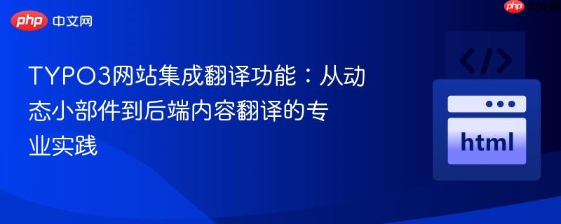 TYPO3网站集成翻译功能:从动态小部件到后端内容翻译的专业实践
