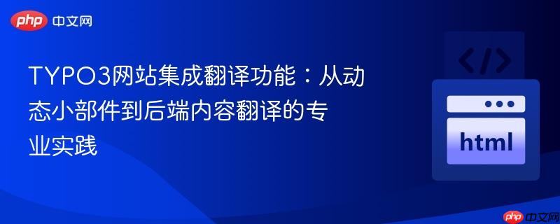 TYPO3网站集成翻译功能：从动态小部件到后端内容翻译的专业实践