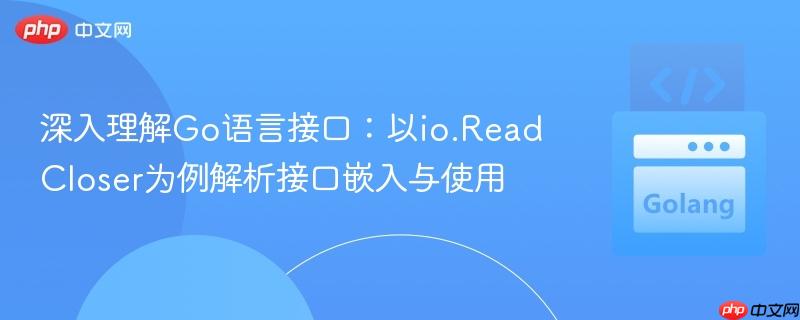 深入理解Go语言接口：以io.ReadCloser为例解析接口嵌入与使用
