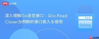 深入理解Go语言接口：以io.ReadCloser为例解析接口嵌入与使用