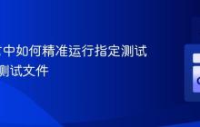 Go语言中如何精准运行指定测试用例或测试文件