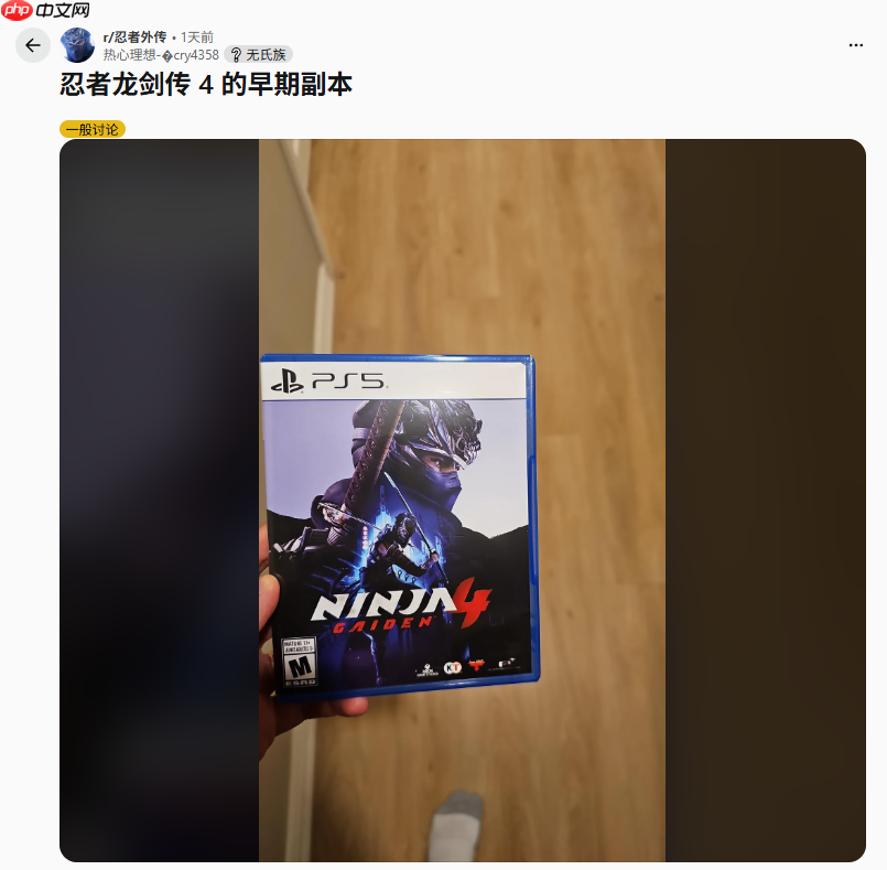 《忍者龙剑传4》现已偷跑 玩家称战斗系统非常惊艳!