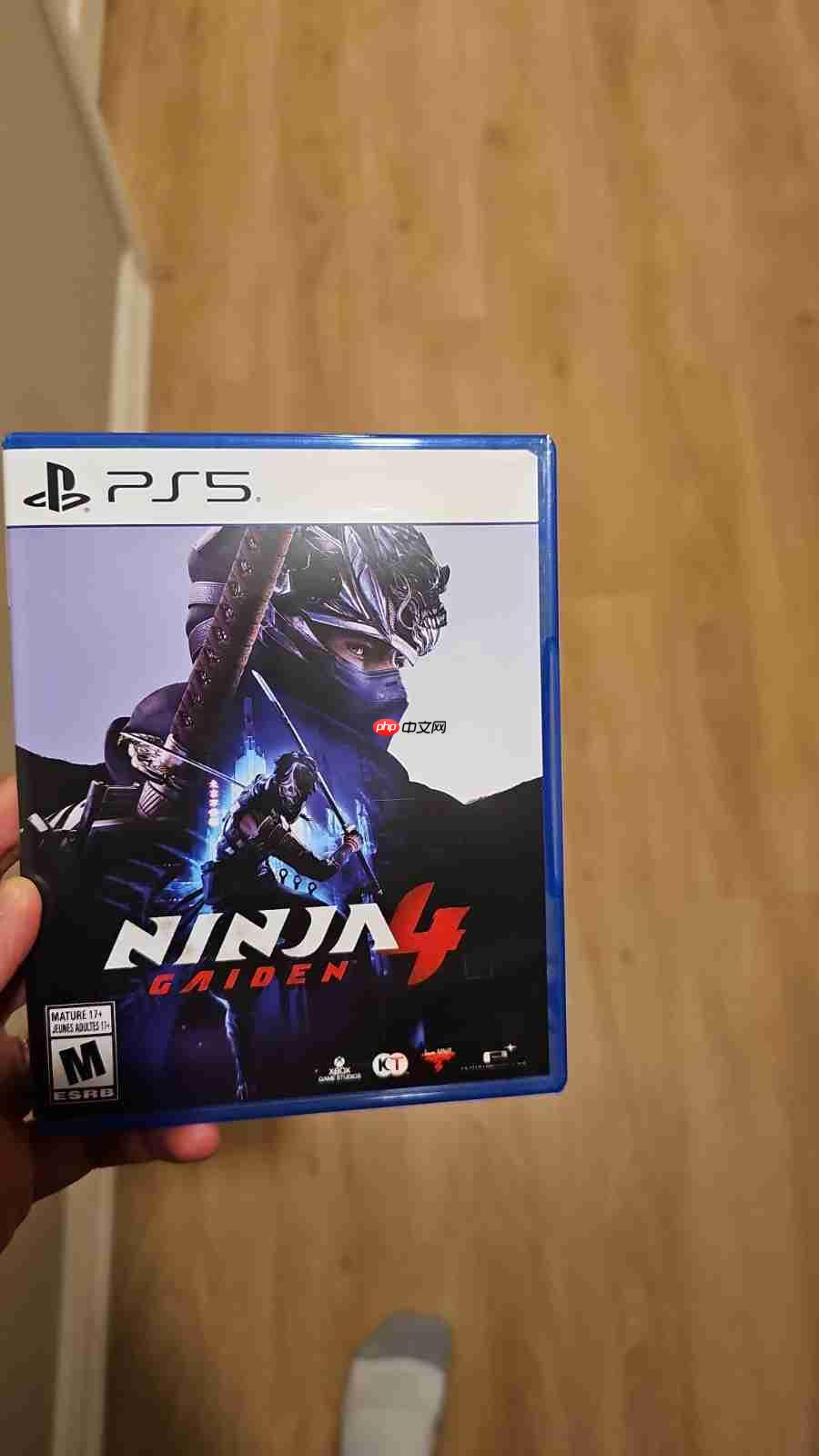 《忍者龙剑传4》现已偷跑 玩家称战斗系统非常惊艳!