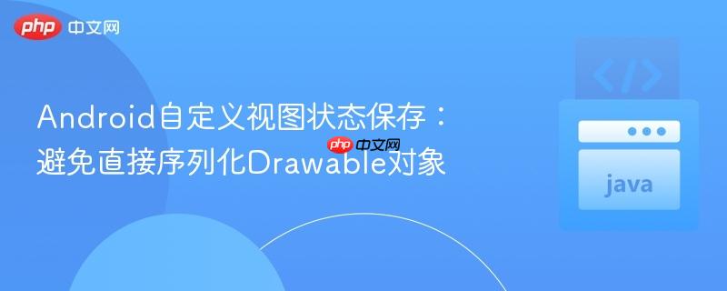 Android自定义视图状态保存:避免直接序列化Drawable对象