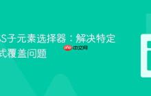 掌握CSS子元素选择器：解决特定元素样式覆盖问题