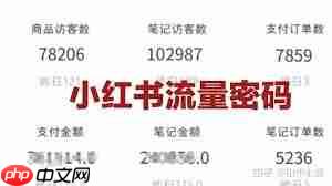 发小红书没人赞会怎样