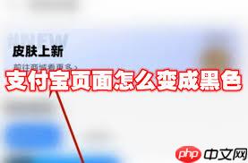 支付宝页面如何变成黑色