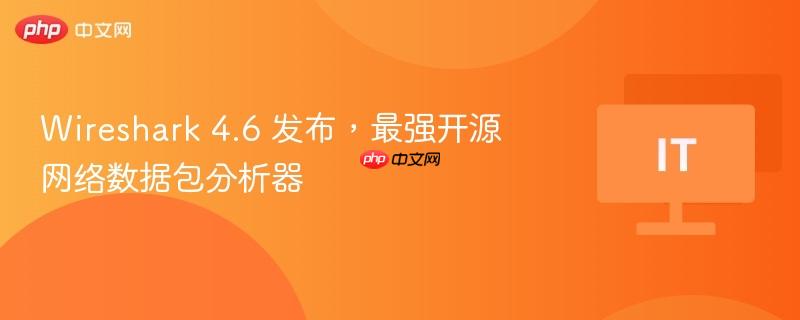 wireshark 4.6 发布,最强开源网络数据包分析器