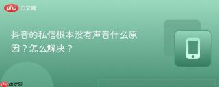 抖音的私信根本没有声音什么原因?怎么解决?