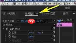 premiere怎么添加效果控件功能