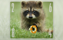 Ubuntu 26.04 LTS 代号公布：Resolute Raccoon