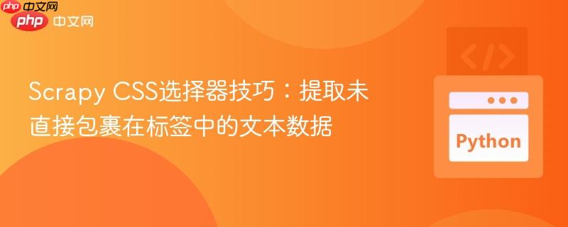 Scrapy CSS选择器技巧:提取未直接包裹在标签中的文本数据