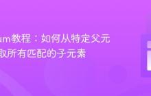 Selenium教程：如何从特定父元素中获取所有匹配的子元素