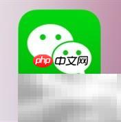 微信企业版使用指南