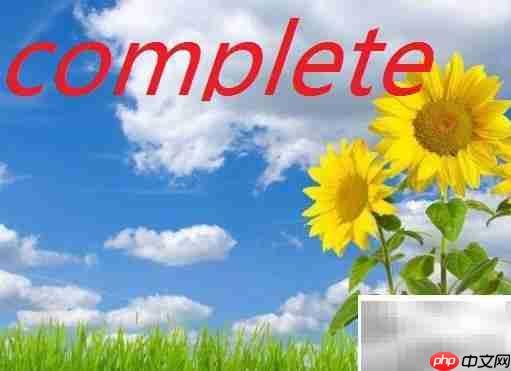 complete是什么意思