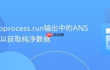 处理subprocess.run输出中的ANSI颜色码以获取纯净数据