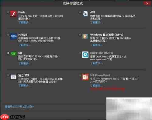 用BB FlashBack Pro 5录GIF