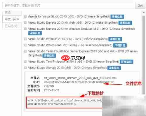 Visual Studio下载指南