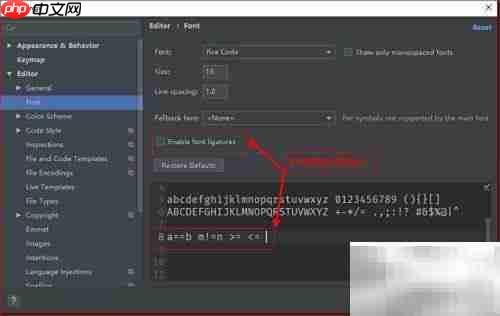 PyCharm字体设置指南