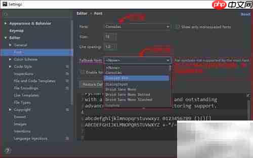 PyCharm字体设置指南