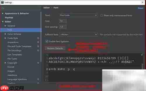 PyCharm字体设置指南