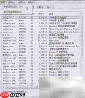 Windows任务管理器添加进程技巧