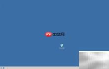 Server 2003中打开Performance程序