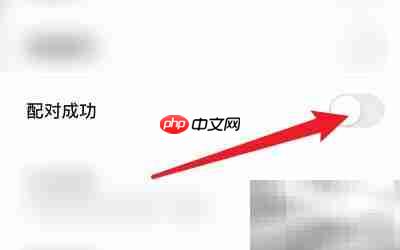 开启REAL配对成功提示方法