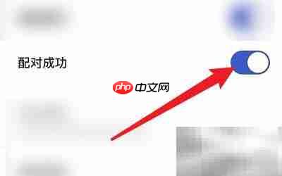 开启REAL配对成功提示方法