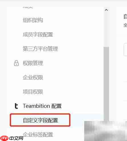 Teambition企业字段改名教程