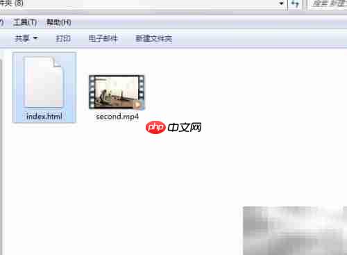 video标签使用指南