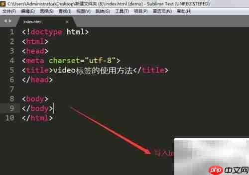 video标签使用指南