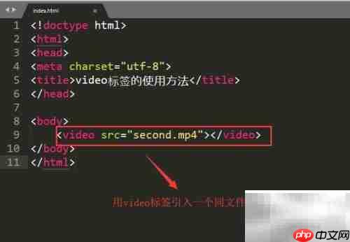 video标签使用指南