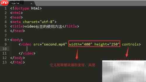 video标签使用指南