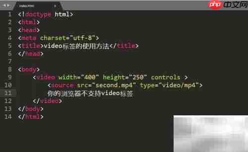 video标签使用指南