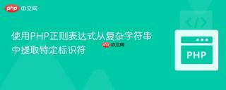 使用PHP正则表达式从复杂字符串中提取特定标识符