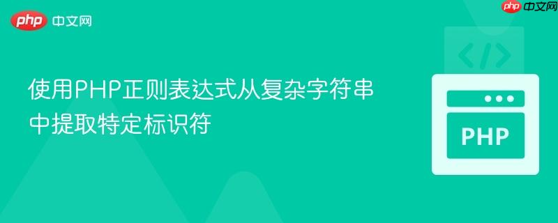 使用PHP正则表达式从复杂字符串中提取特定标识符
