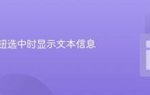 单选按钮选中时显示文本信息