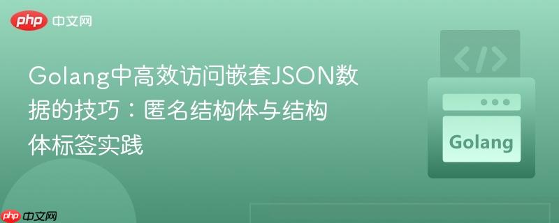Golang中高效访问嵌套JSON数据的技巧：匿名结构体与结构体标签实践
